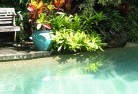 Nerangswimming-pool-landscaping-3.jpg; ?>